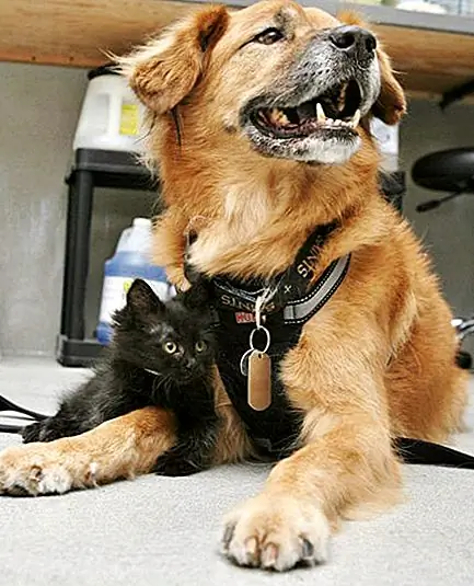 Image Image