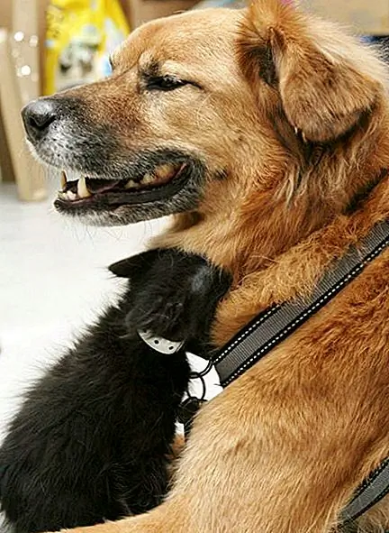 Image Image