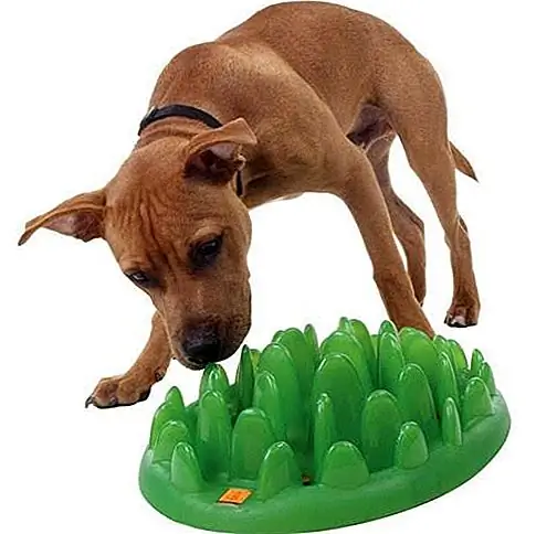 Kutyája szeretni fogja a Kruuse Buster Dogmaze feeder által bemutatott kihívást! Nagyszerű módja annak, hogy megakadályozza, hogy izgalmas ételei megduzzadjanak, ez az élénken színezett adagoló gazdagító étkezési élményt nyújt a megérdemelt kölyök számára. Kutyája szeretni fogja a Kruuse Buster Dogmaze feeder által bemutatott kihívást! Nagyszerű módja annak, hogy megakadályozza, hogy izgalmas ételei megduzzadjanak, ez az élénken színezett adagoló gazdagító étkezési élményt nyújt a megérdemelt kölyök számára.