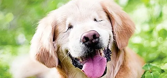 Il tuo sorriso del giorno Fotografato da Stacey Morrison