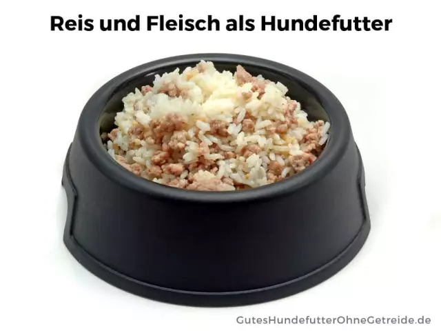 Was ist besser für Hunde: Reis oder Mais?