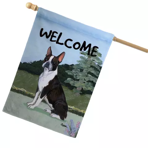 Boston Terrier House Trening