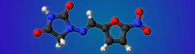 Nitrofurantoin bei Hunden