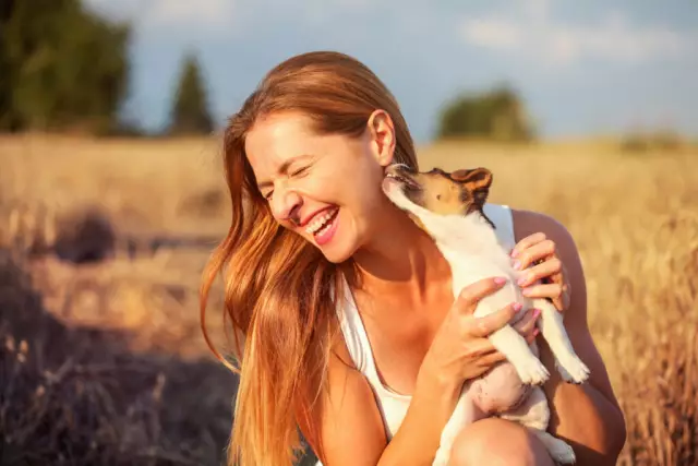 Warum werfen ältere Hunde große Haarbüschel ab?