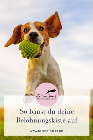 Verhindern, dass ein Hund in einem unerwünschten Bereich eines Hinterhofs kackt