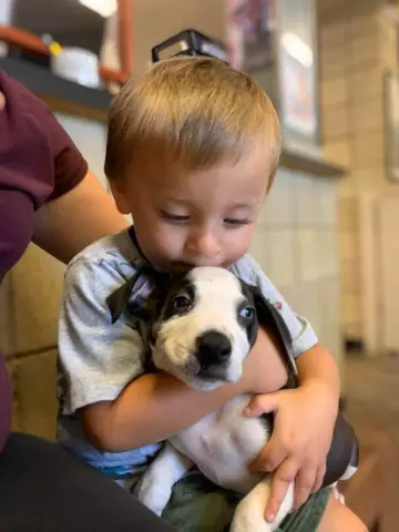 Quels sont les risques de séparer un chiot trop tôt de sa mère?