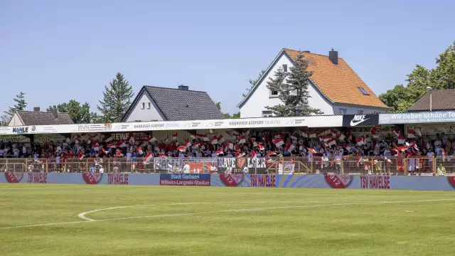 Stadien der Hundezeckenkrankheit