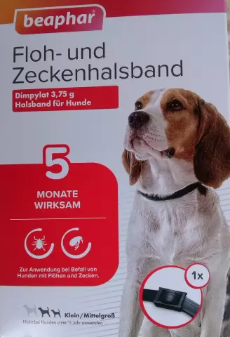 Braucht mein Hund im Winter ein Zeckenhalsband?