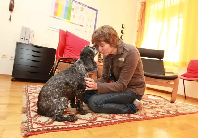 Mon chien a subi une intervention chirurgicale et a des points de suture: puis-je lui donner un bain?