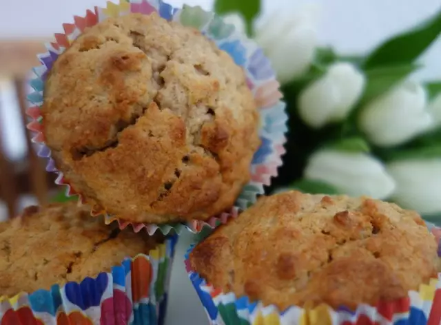 Friandises pour chiens à la farine d'avoine et à la compote de pommes