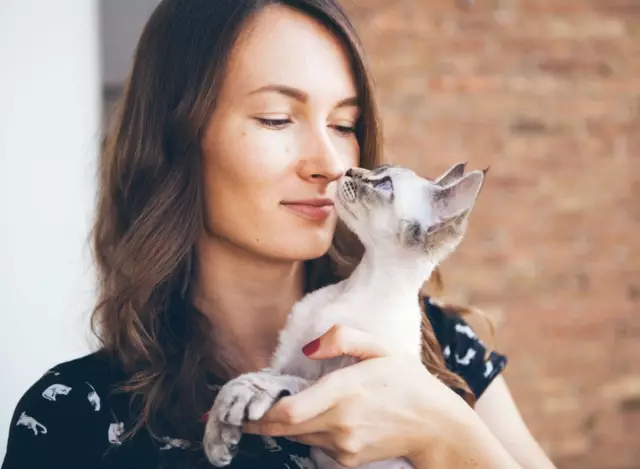 Les aliments pour chiens à base de viande de haute qualité permettent-ils de nourrir les animaux plus longtemps?