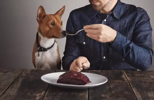 Selbst gemachtes Hundefutter mit Butternut-Kürbis