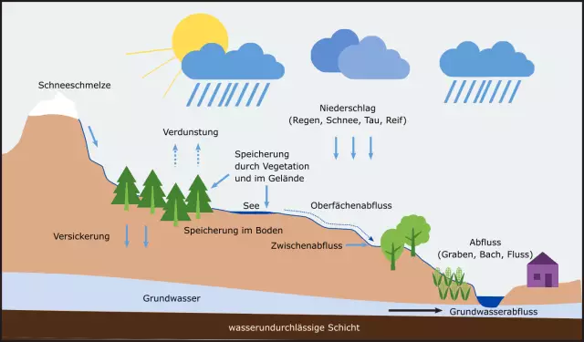 Wie wichtig ist Wasser für die Verdauung eines Hundes?