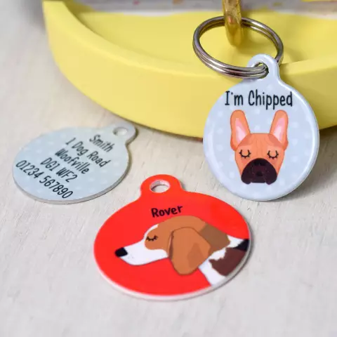 Étiquettes d'identification d'animalerie pour chiens