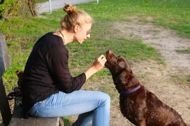 Comment dresser votre chien à dormir dans une pièce autre que la vôtre