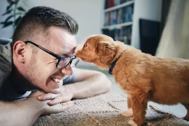 Comment dresser un chiot avec de bons sons et de mauvais sons