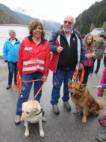 Wie werden Bloodhound-Hunde eingesetzt, um vermisste Personen zu finden?