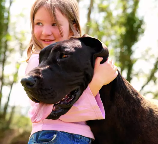 Tut es Hunden weh, in der Nähe von Rauch zu sein?