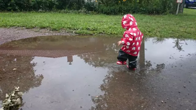 Wie man einen Hund in der Hundehütte hält, wenn es regnet