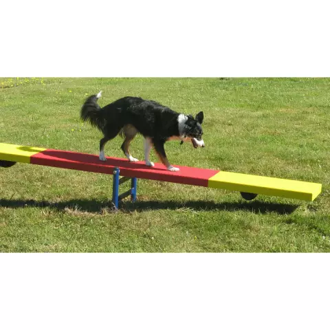 Obedience Dog Teeter-Totter Spécifications