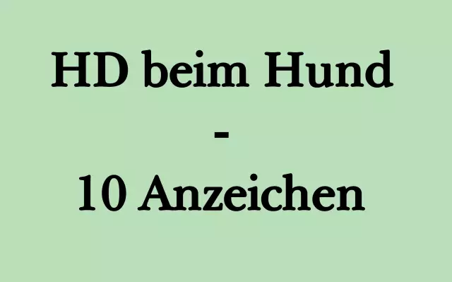 Anzeichen und Symptome einer Hirnkrankheit bei Hunden