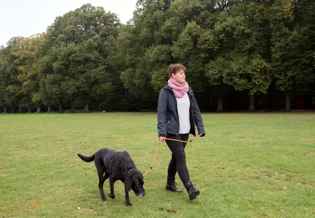 So hindern Sie meinen Hund daran, Dinge zu stehlen und zu verstecken