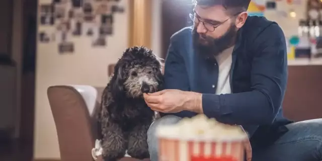 Ist weißer Reis schlecht für Hunde?