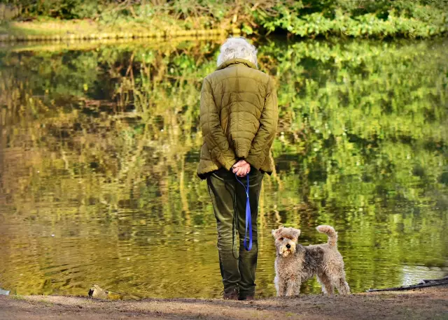 Ab welchem Alter erreicht ein Hund die volle Größe?