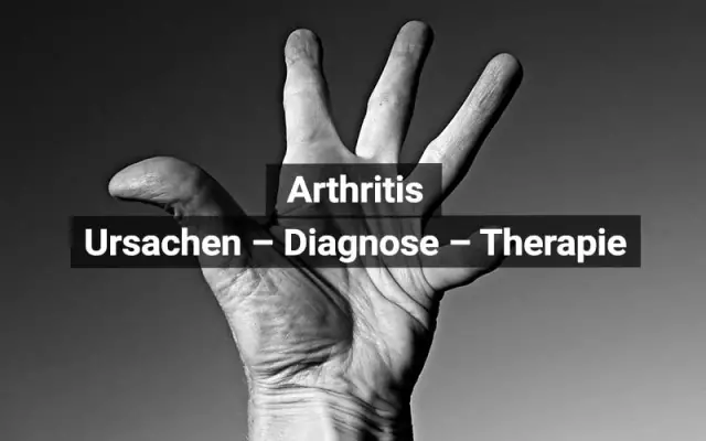 Arthritis-Tabletten für Hunde