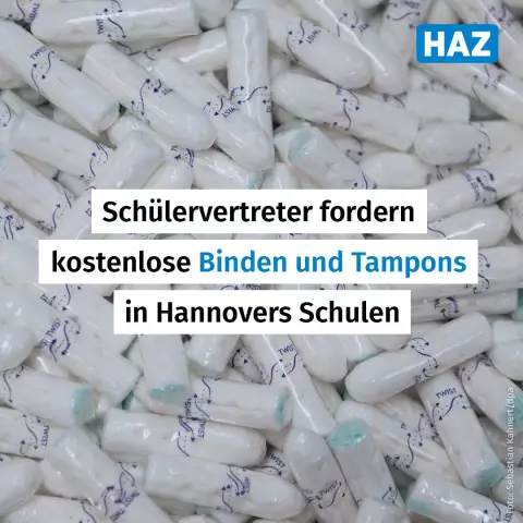 Können Sie verhindern, dass Hündinnen ihre Periode bekommen?