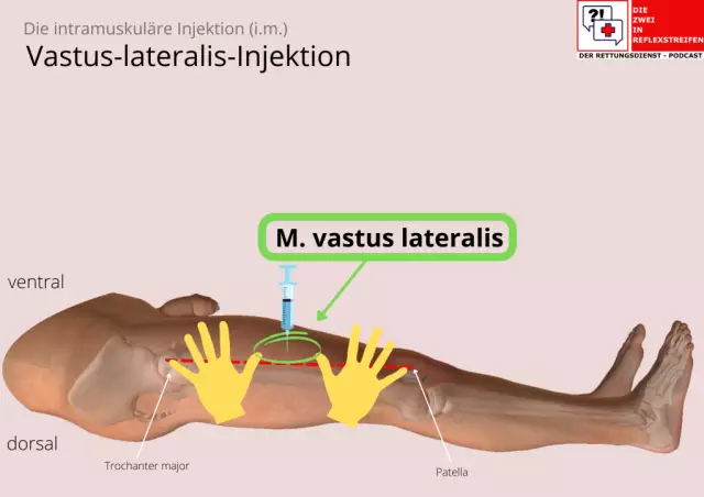 Comment administrer une injection à un chien sous la peau