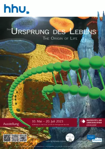 Was ist der Ursprung des deutschen Vorstehhundes oder der deutschen Kurzhaarrasse?