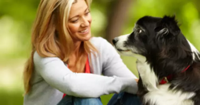 Devrais-je garder mon chien mâle loin de mon chien enceinte?