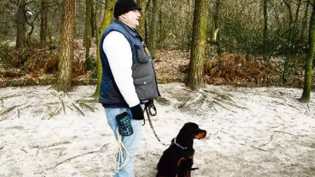 Tipps für einen gehorsamen Hund