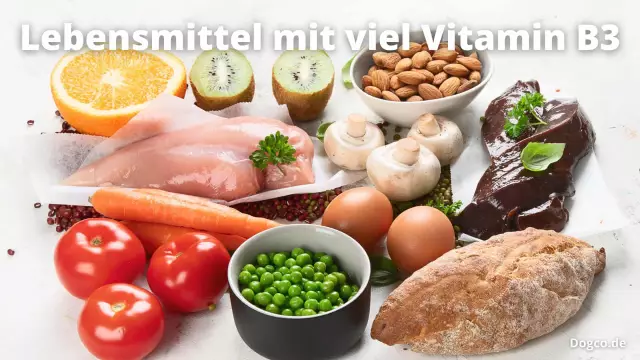 A B12-vitamin ugyanaz a kutya számára, mint az embereknek?