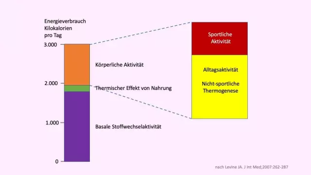 Was ist die normale Körpertemperatur eines Hundes?