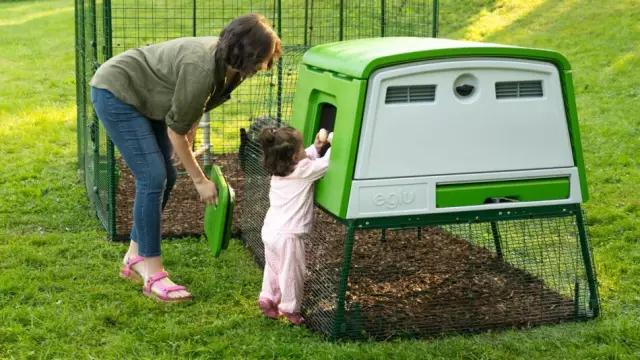 Comment casser les chiens mâles de soulever leur jambe sur les meubles