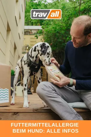 Quelle nourriture pour chien remplit un chien avec moins de nourriture?