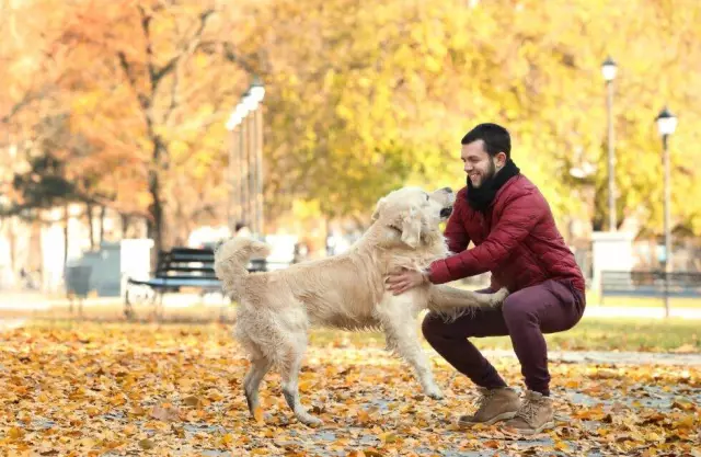 Pourquoi mon chien est-il si hyperactif quand on voit d'autres chiens dans le parc?