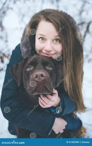 Jeux amusants à jouer avec votre chien pendant l'hiver