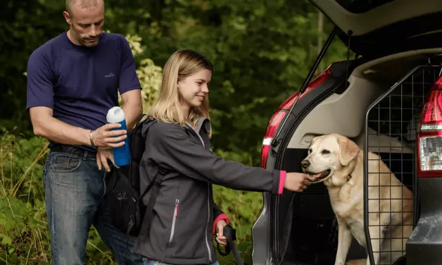 Die beste hausgemachte Diät für einen alten Hund mit IBD