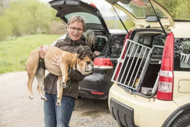 Wie man einen Hund davon abhält, auf Kleidung auf dem Boden zu kacken